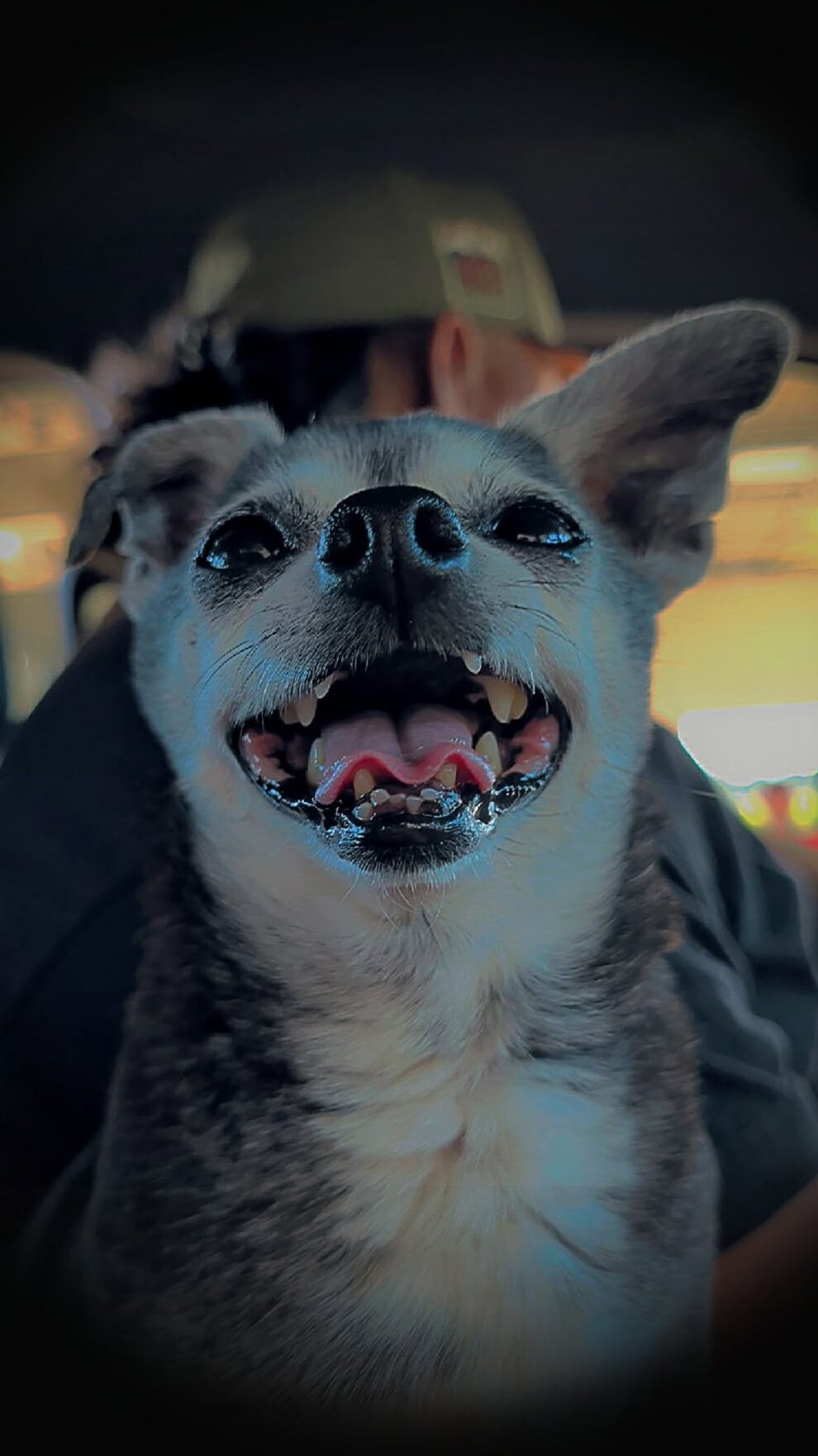 Maeson is looking at the camera with an open mouth grin. His co-owner/dad, Tombo, is in the background-not facing the camera